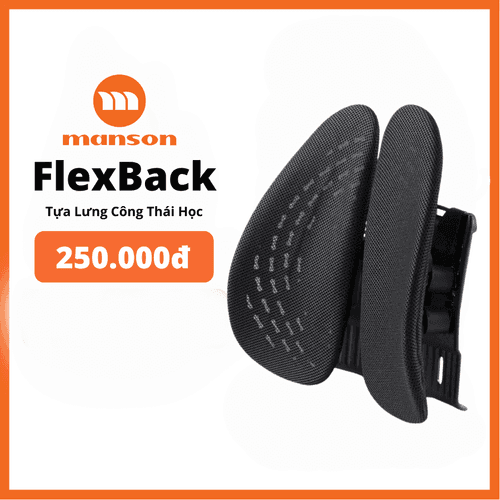 'Tua Lung Cong Thai Hoc Manson FlexBack MS-01 Mau Den'