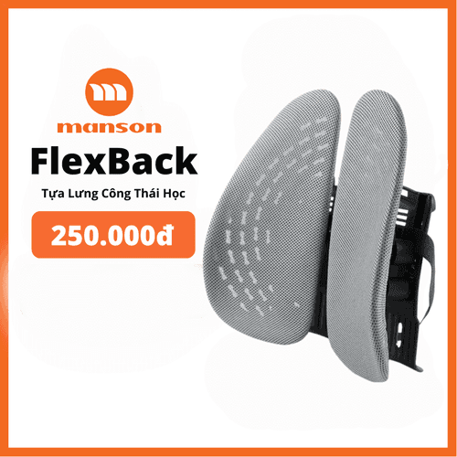 'Tua Lung Cong Thai Hoc Manson FlexBack MS-01 Mau Xam'