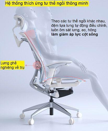 ghe-dvary-butterfly-ghe-cong-thai-hoc-14828 (7)(1).jpg