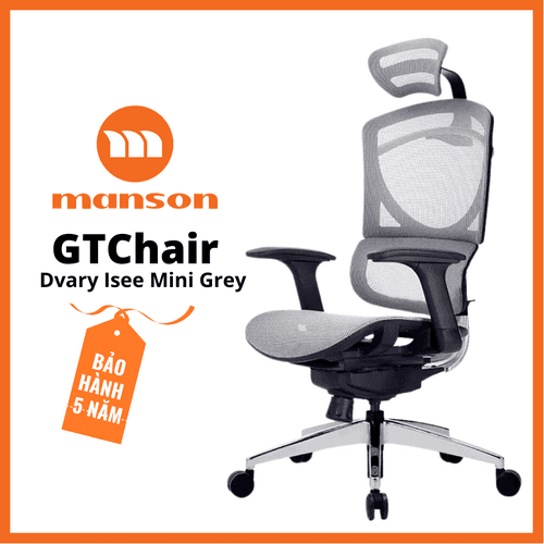 'Ghe Cong Thai Hoc Ergonomic GTChair I-See M Lung Den - Luoi Xam'